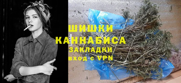 сатива Абинск