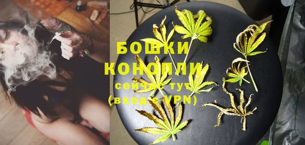 сатива Абинск