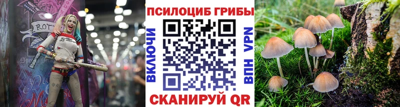 Галлюциногенные грибы мухоморы  Рославль 