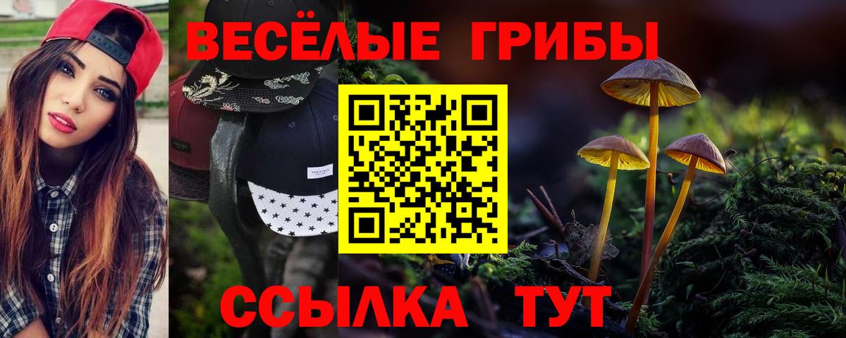 Рославль  Псилоцибиновые грибы прущие грибы  Вход с VPN 